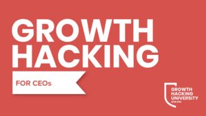 Growth Hacking for CEOs