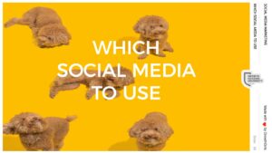 04 – Selecting the Social media to use