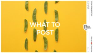 05 – Selecting what to post